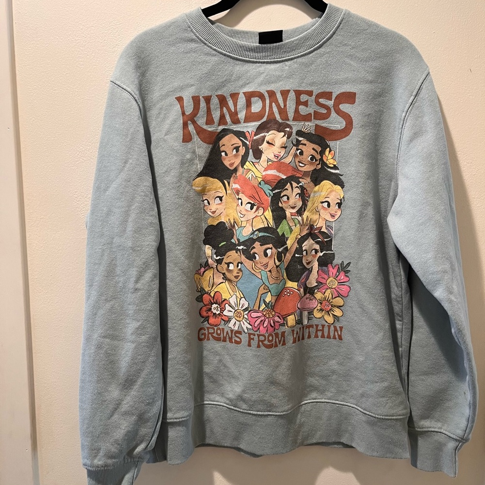 Disney Princess Light Blue Sweatshirt